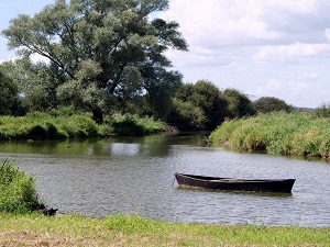 Randonnée autour du Lac de Grand-Lieu (Loire-Atlantique) 5