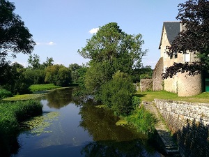 Randonnée autour du Lac de Grand-Lieu (Loire-Atlantique) 7