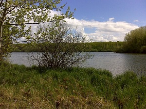 Tour des Lacs Amance et du Temple (Aube) 5