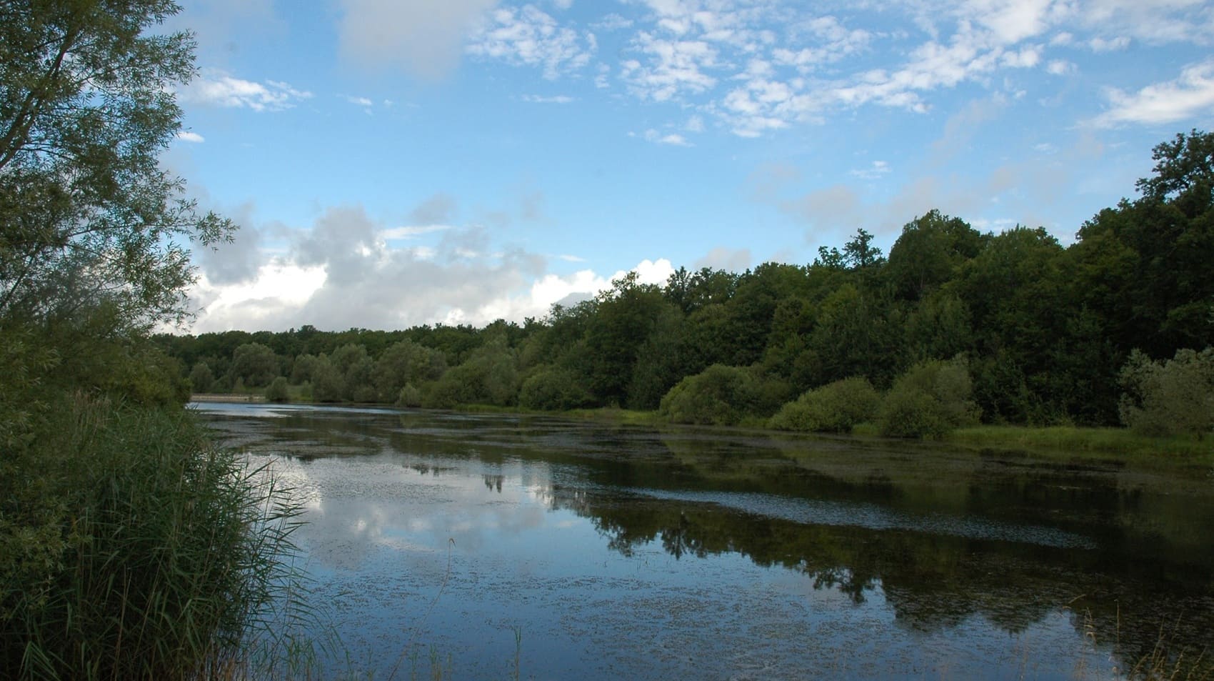 Around Amance and Temple Lakes (Aube)