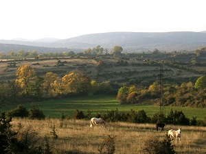 Hiking around Southern Larzac (Herault-Gard) 3