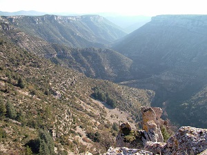 Randonnée autour du Larzac Méridional (Hérault-Gard) 5