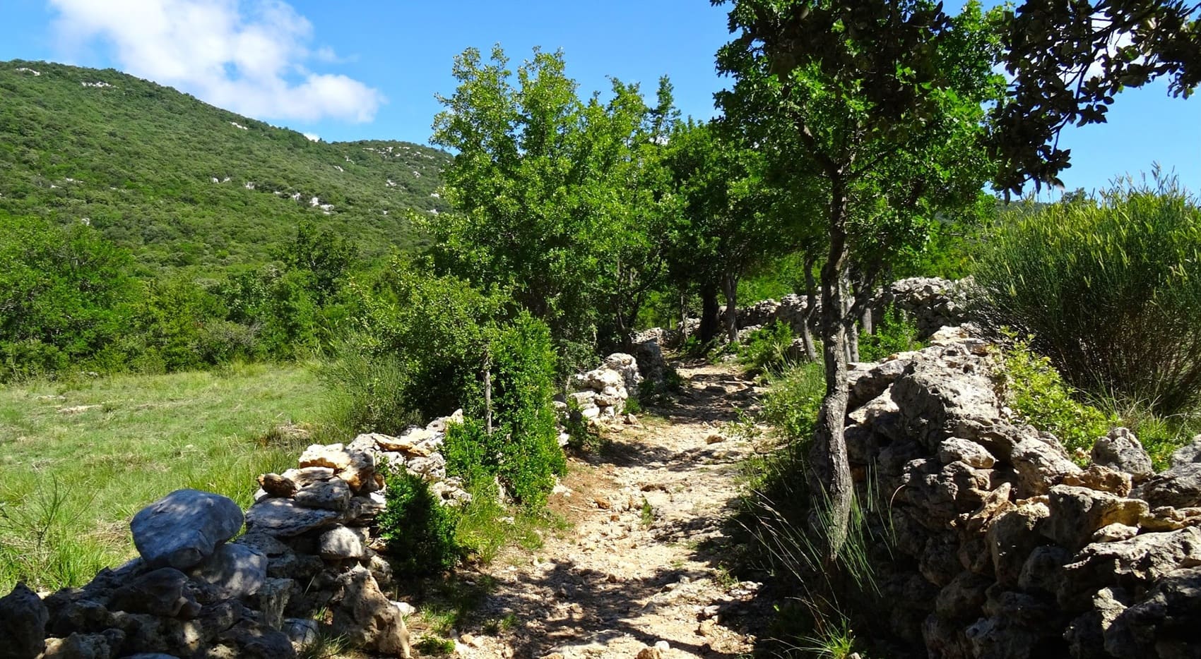 Tour du Larzac Méridional (Hérault-Gard)