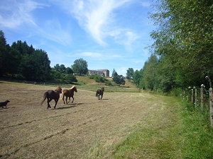 Hiking around Levezou Mountains (Aveyron) 4