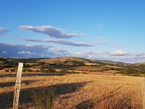 Randonnée autour des Monts du Lévézou (Aveyron) 5