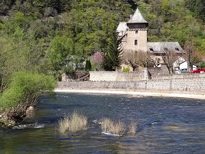 Randonnée autour au pays d'Entraygues sur Lo Camin d'Olt (Aveyron) 3