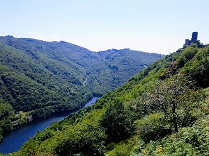 Randonnée autour au pays d'Entraygues sur Lo Camin d'Olt (Aveyron) 7