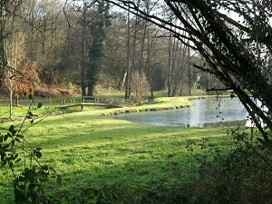 Hike on the Otter trail (Vendee) 5