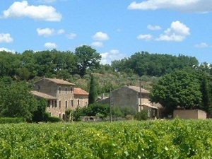 Around Luberon (Vaucluse, Alpes-de-Haute-Provence) 7