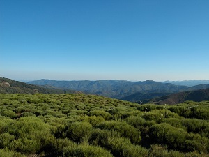 Hiking around Luech Valley (Gard-Lozere) 4