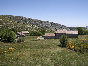 Hiking around Luech Valley (Gard-Lozere) 6