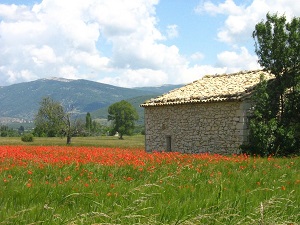 Hike around Lure mountain (Alpes-de-Haute-Provence, Drome)