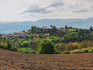 Randonnée autour des Coteaux du Lyonnais (Rhône) 4