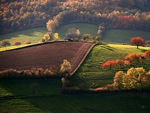 Hiking around Lyon Hillsides (Rhone) 7