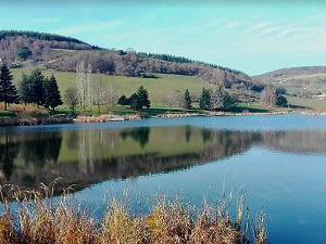 Randonnée autour des Monts du Lyonnais (Rhône-Loire) 7