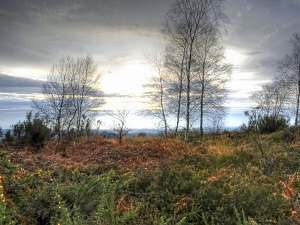 Hiking around Mandragore (Charente, Haute-Vienne) 4