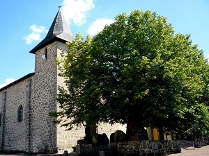 Hiking around Mandragore (Charente, Haute-Vienne) 6