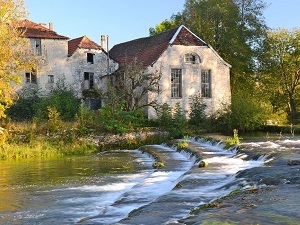 Randonnée sur le sentier des Maquisards (Aube) 3