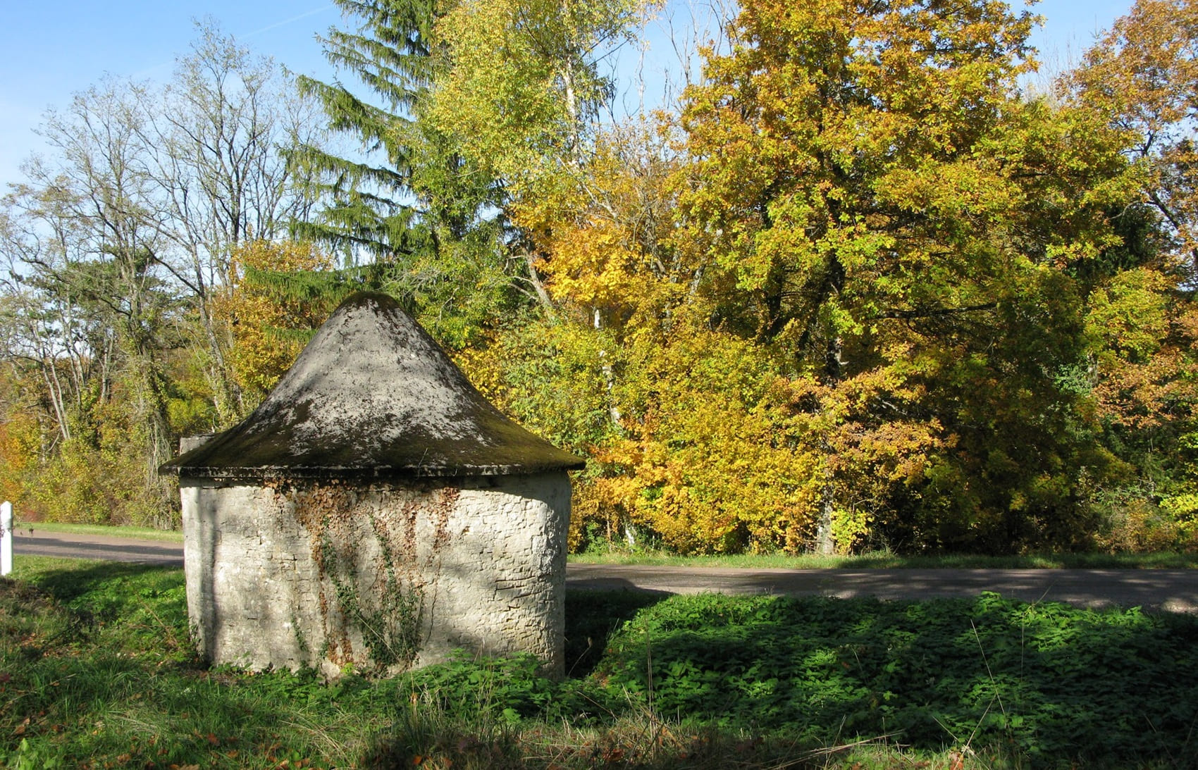 Loop on the Maquisards Trail (Aube)