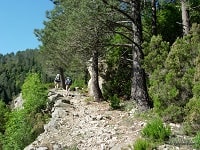 Corsica Mare to Mare (Center) Hiking from Serra-di-Fiumorbo (Upper-Corsica) to Grosseto-Prugna (South-Corsica) 5