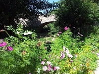 Hiking on the GRP Tour of Margeride (Lozere) 3