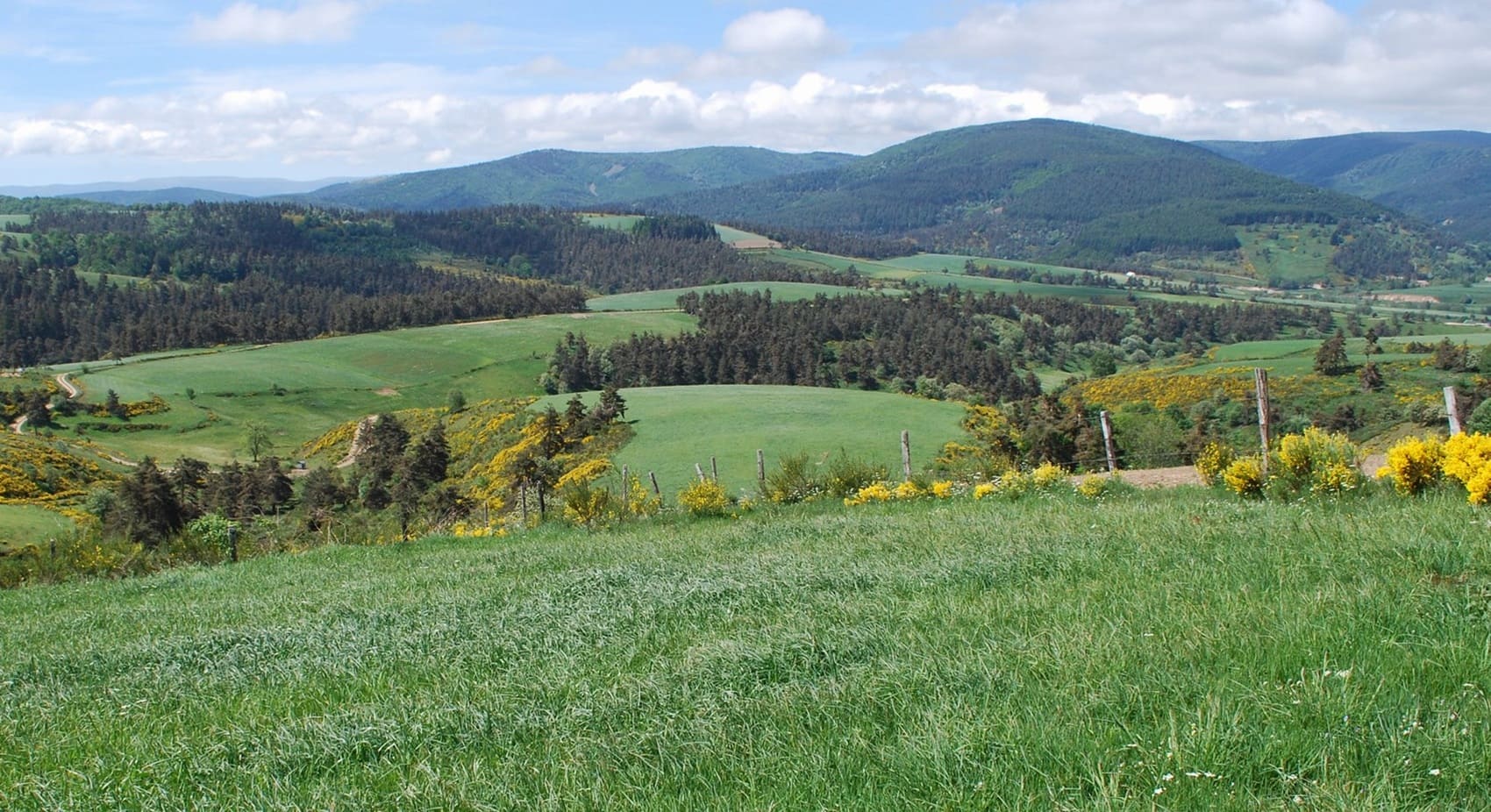 Tour de la Margeride (Lozère)