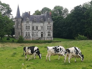Hiking on the GRP Tour de la Mayenne profonde (Mayenne, Sarthe) 3