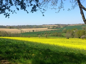 Hiking on the Melusine trail (Vendee) 3