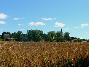 Hiking around Midi Quercy (Tarn-et-Garonne, Tarn, Lot) 6