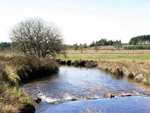 Randonnée autour du plateau de Millevaches (Corrèze) 5