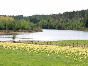 Hiking around Millevaches plateau (Correze) 6