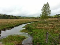 Hiking around plateau de Millevaches (Correze) 8