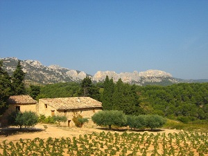 Hiking around Dentelles de Montmirail (Vaucluse) 7