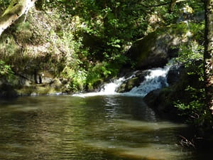 Hiking around the Mortainais ridges (Manche, Orne) 4