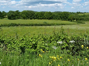 Hiking around Morvan (Nievre, Saone-et-Loire, Cote-d'Or, Yonne) 4