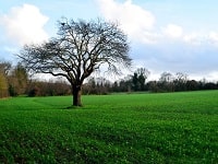 Hike around Pays Nantais (Loire-Atlantique) 8
