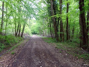 Randonnée sur le GRP Tour de l'Omois (Aisne, Marne, Oise) 7