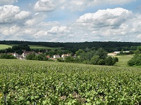 Hiking on the Tour of Omois region (Aisne, Marne, Oise) 8