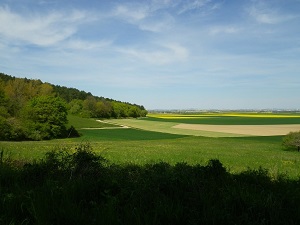 Randonnée autour des forêts d'Othe (Aube) 3