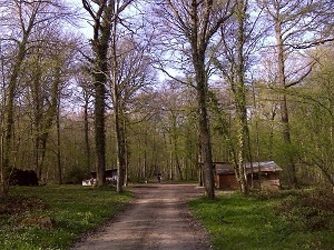 Randonnée autour des forêts d'Othe (Aube)