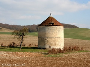 Randonnée autour des forêts d'Othe (Aube) 7