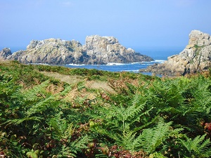 Randonnée autour de l'Ile d'Ouessant (Finistère) 6