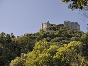 Hiking around Grand Pic Saint-Loup from Vinyards to Causses (Herault) 4