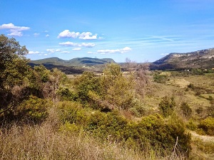 Hiking around Grand Pic Saint-Loup from Vinyards to Causses (Herault) 7