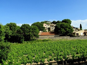 Randonnée autour des villages du Grand Pic Saint-Loup (Hérault) 4