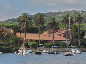 Randonnée autour de l'île de Porquerolles (Var) 3