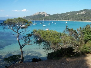 Randonnée autour de l'île de Porquerolles (Var) 4