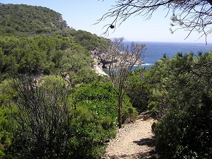 Randonnée autour de l'île de Porquerolles (Var) 5