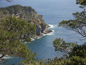 Randonnée autour de l'île de Porquerolles (Var) 6