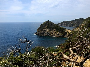 Randonnée autour de l'île de Porquerolles (Var) 7